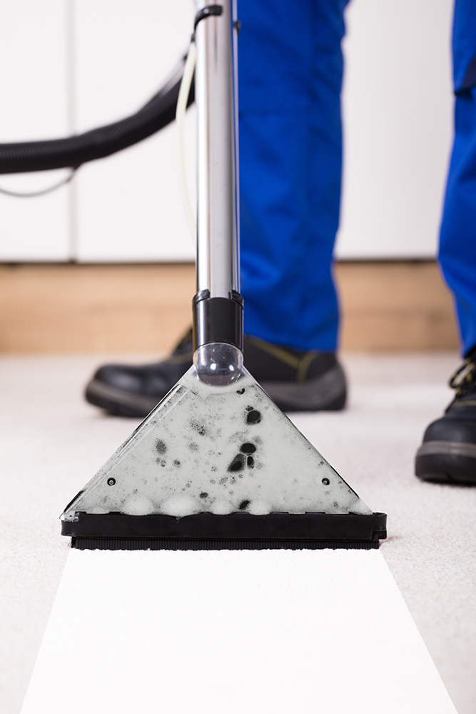 Carpet Cleaner