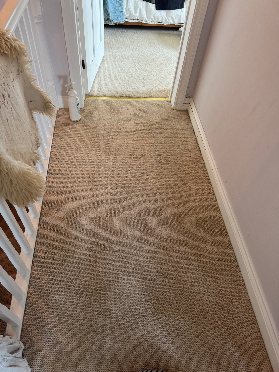 Commercial Carpet Cleaning Services