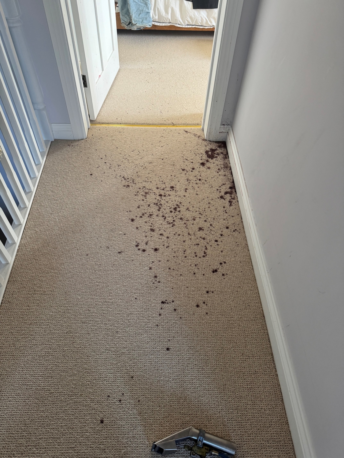 Commercial Carpet Cleaning