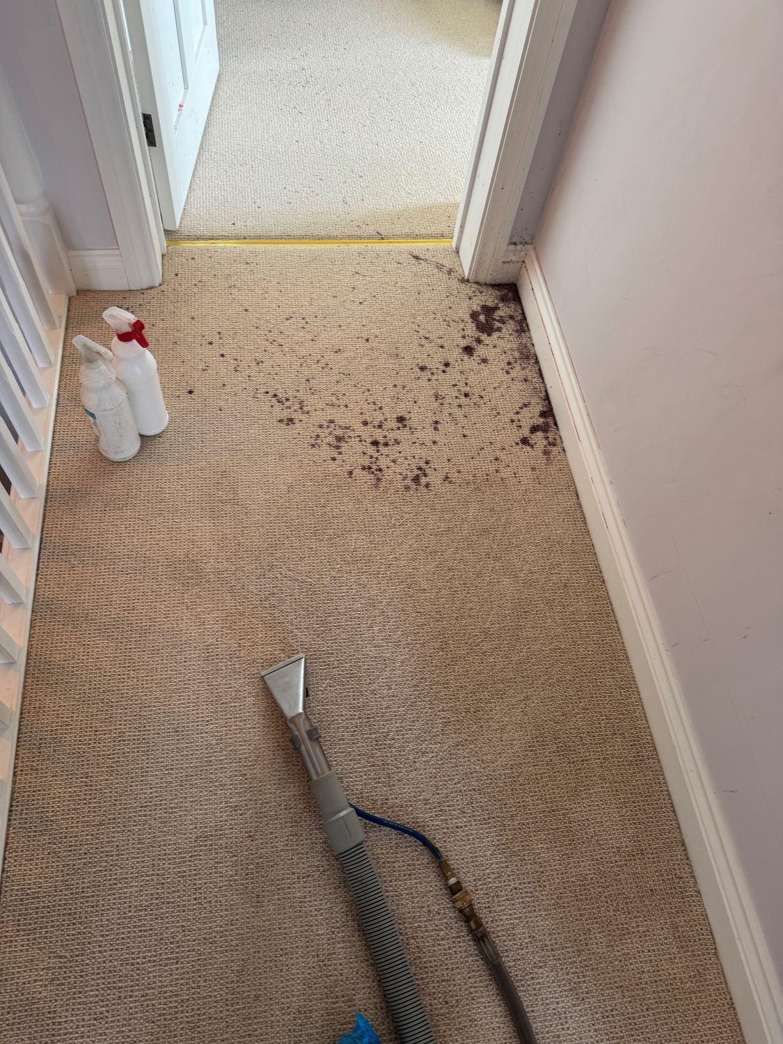 Commercial Carpet Cleaning